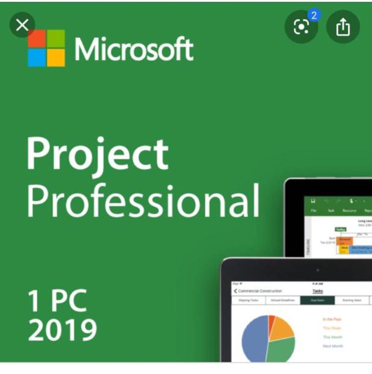Microsoft Microsoft Project Professional 19